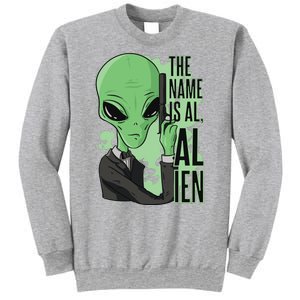 The Name Is Alien Funny Spy Cartoon Sweatshirt