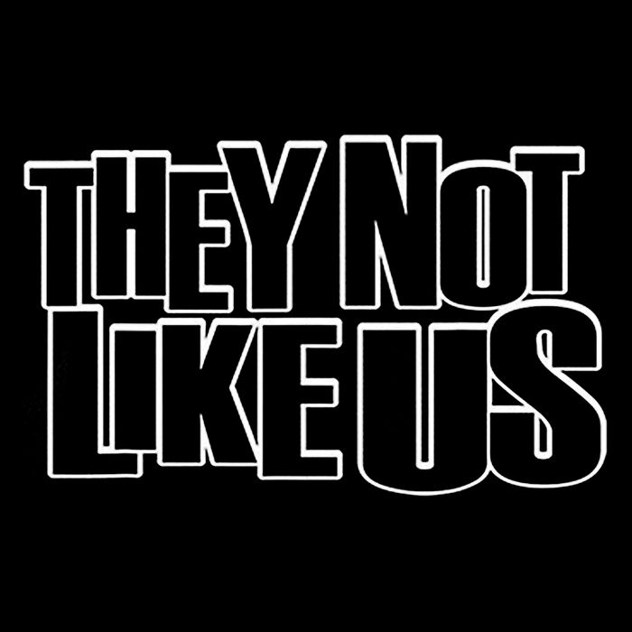 They Not Like Us Sustainable Beanie