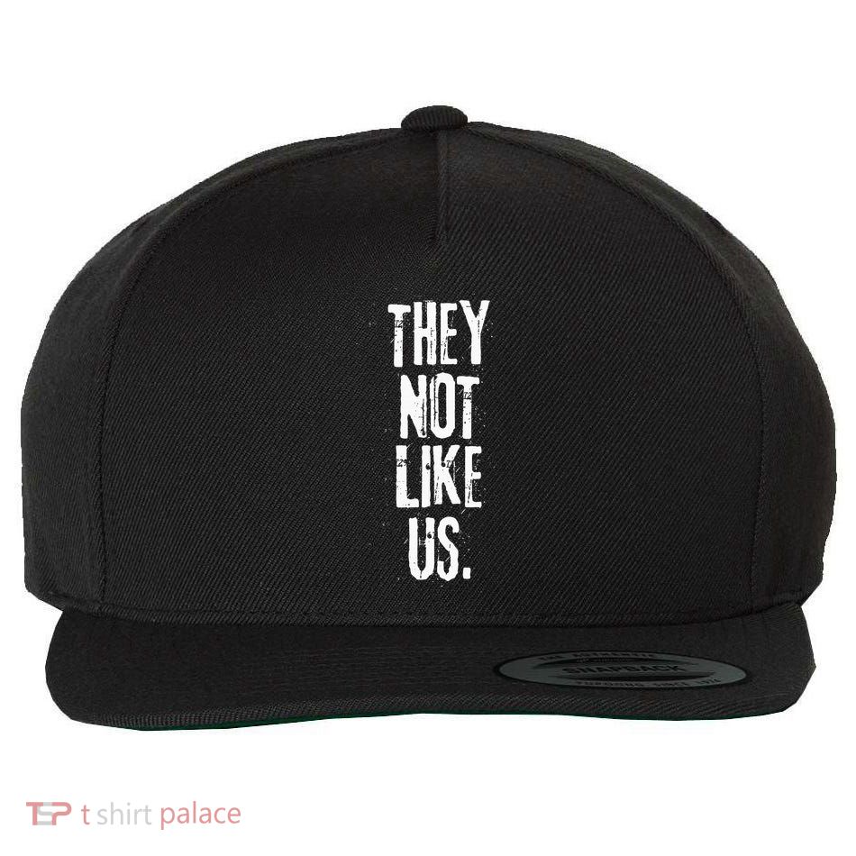 They Not Like Us Wool Snapback Cap