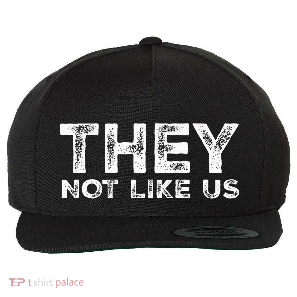 They Not Like Us Wool Snapback Cap