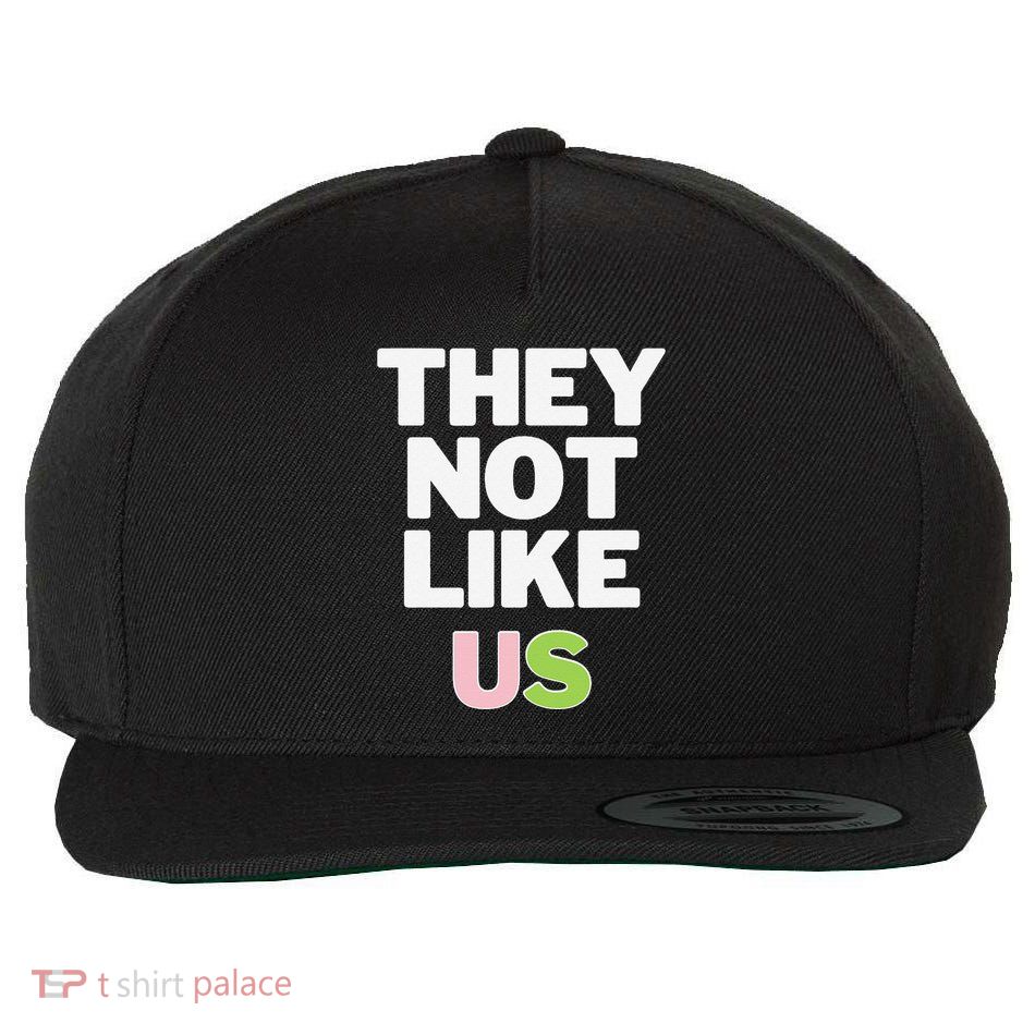 They Not Like Us Wool Snapback Cap