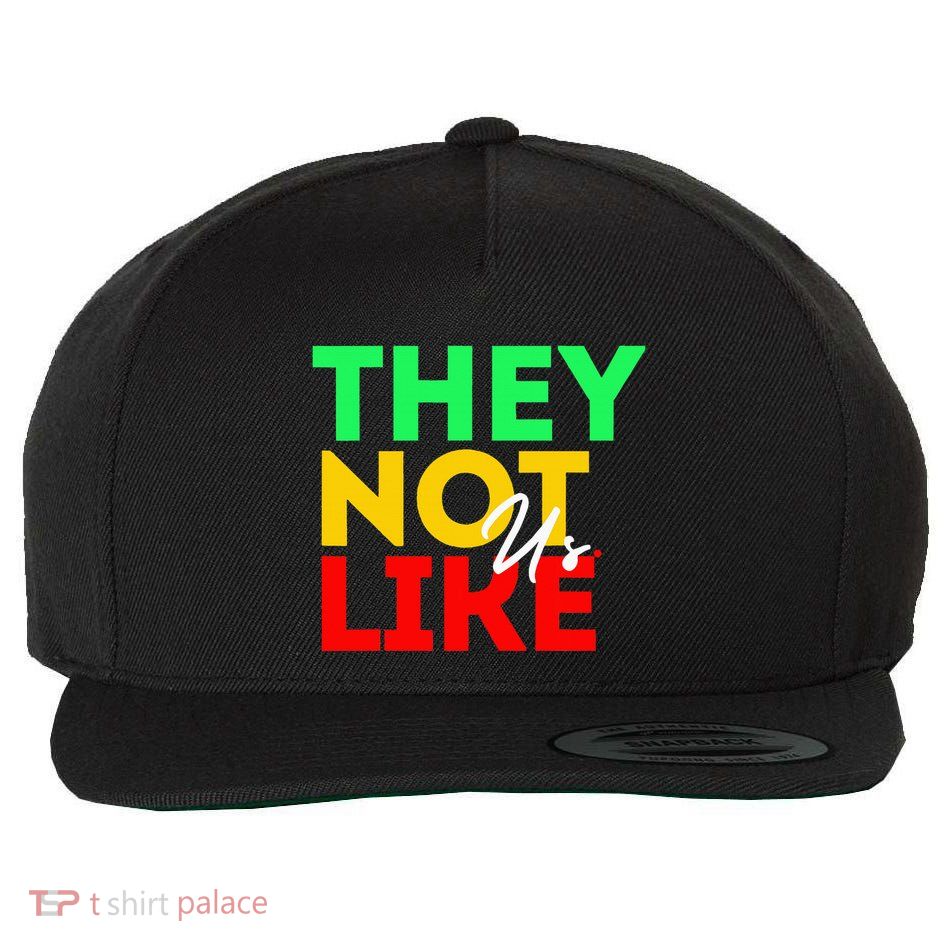 They Not Like Us Wool Snapback Cap