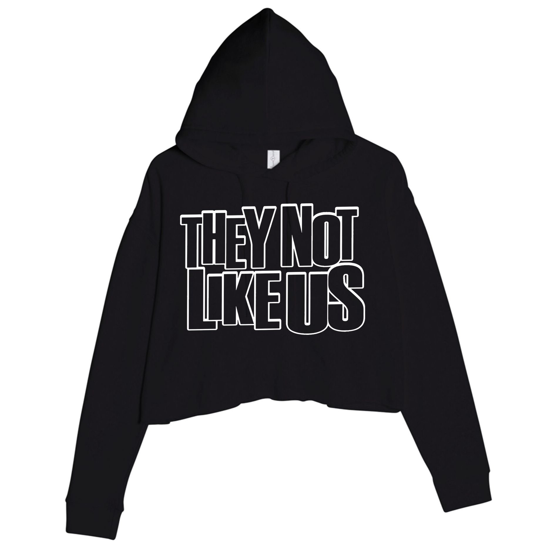 They Not Like Us Kendrick Crop Fleece Hoodie