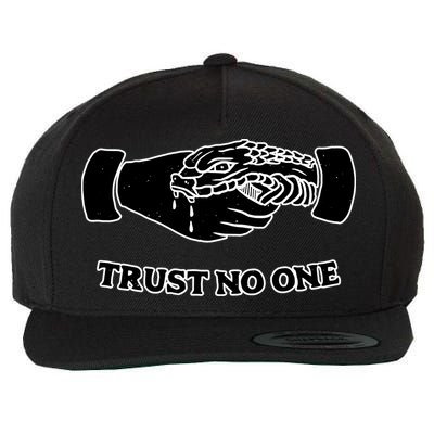 Trust No One Shake Hands With A Snake Wool Snapback Cap