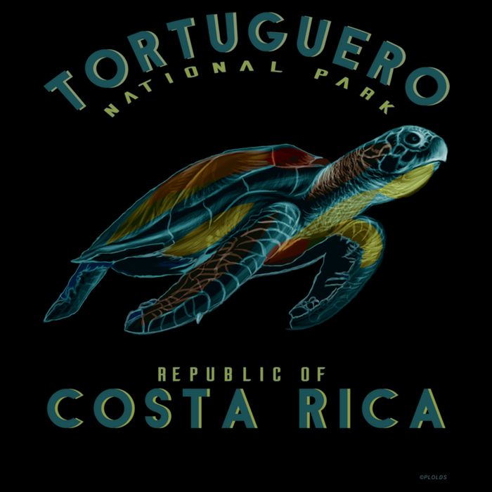 Tortuguero National Park Costa Rica Sea Turtle Souvenir Gift Mug