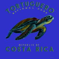Tortuguero National Park Costa Rica Sea Turtle Souvenir Gift Visor
