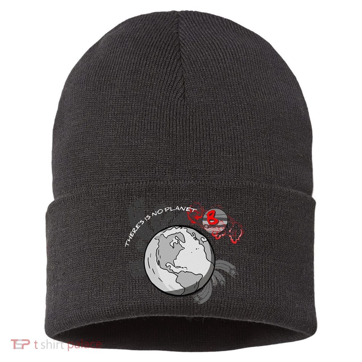 There's No Planet B Science Climate Change Earth Day Sustainable Knit Beanie