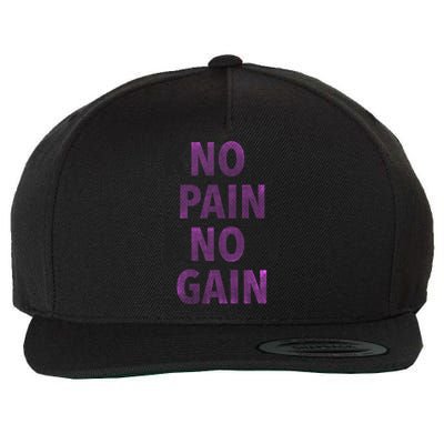 Trendy No Pain No Gain Cool Gift Wool Snapback Cap