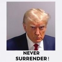 Trump Never Surrender Mug Shot Adult Drive Performance Visor