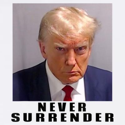 Trump never surrender Donald Trump Mugshot 2024 T-Shirt