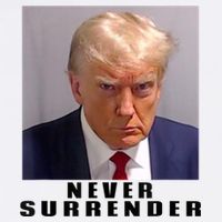 Trump never surrender Donald Trump Mugshot 2024 Flatbill Hat