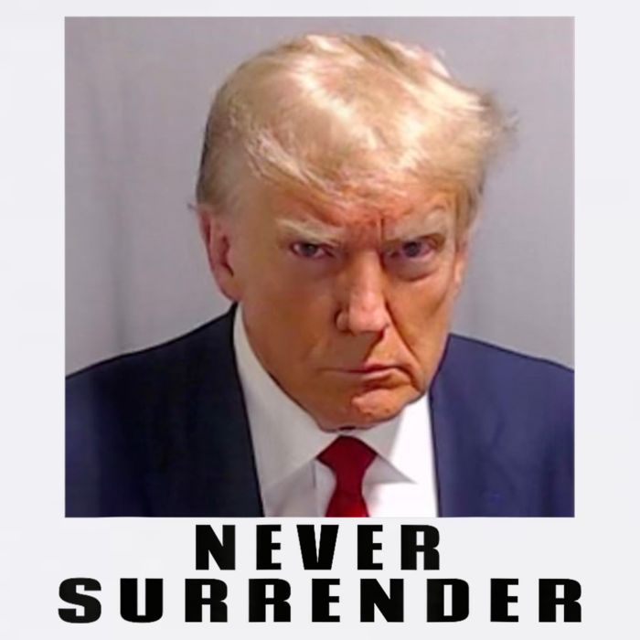 Trump never surrender Donald Trump Mugshot 2024 Flatbill Hat