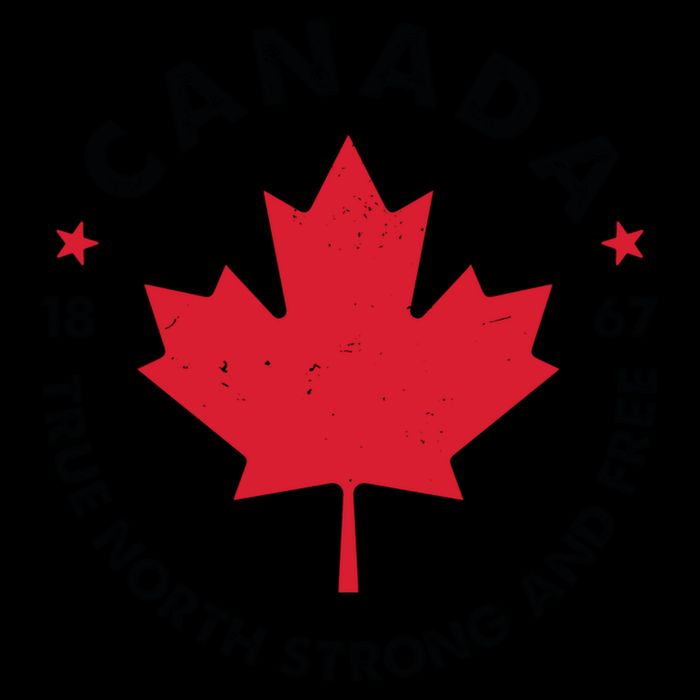 True North Strong And Free Canada 16 in Basic Backpack