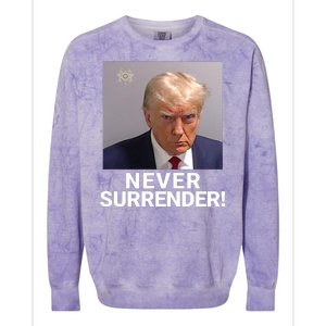 Trump Never Surrender Mugshot Booking Georgia Trump Mugshot Trump Mugshot 2024 Colorblast Crewneck Sweatshirt