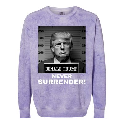 Trump Never Surrender 2024 Mugshot Colorblast Crewneck Sweatshirt