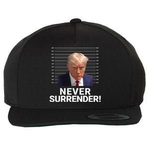 Trump Never Surrender Mugshot Georgia Booking Trump Mugshot Trump Arrested Wool Snapback Cap