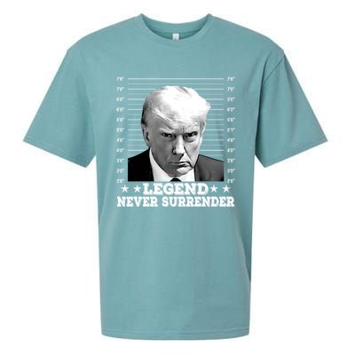 Trump Never Surrender Donald Trump Mugshot Trump 2024 Sueded Cloud Jersey T-Shirt