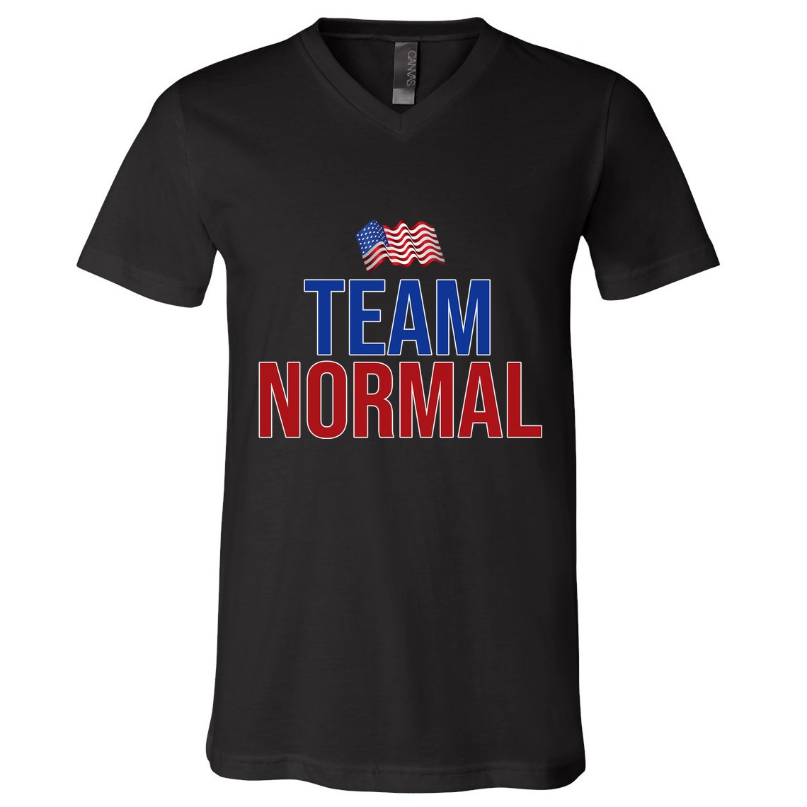 Team Normal United States Flag Patriotic V-Neck T-Shirt