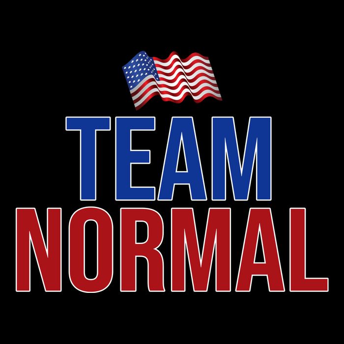 Team Normal United States Flag Patriotic Impact Tech Backpack