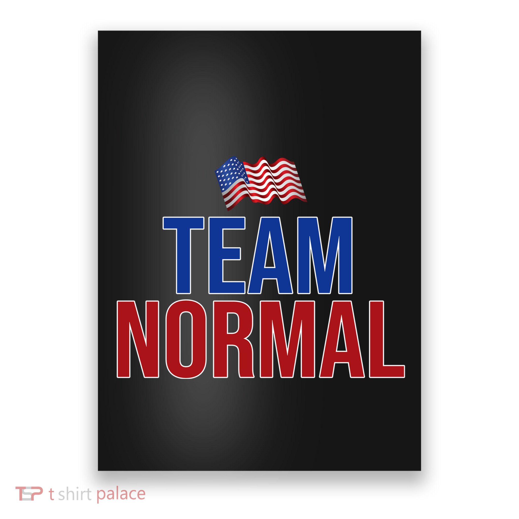 Team Normal United States Flag Patriotic Poster
