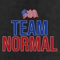 Team Normal United States Flag Patriotic Hat