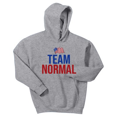 Team Normal United States Flag Patriotic Kids Hoodie