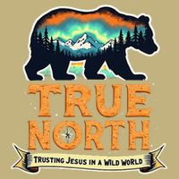 True North VBS 2025 Christian Trusting Jesus Wilderness Gift Hoodie