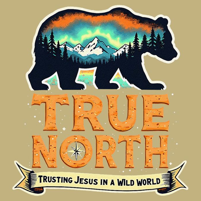 True North VBS 2025 Christian Trusting Jesus Wilderness Gift Hoodie