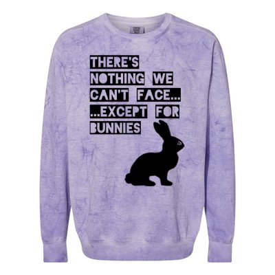 There&X27;S Nothing We Can&X27;T Face... Except For Bunnies Colorblast Crewneck Sweatshirt