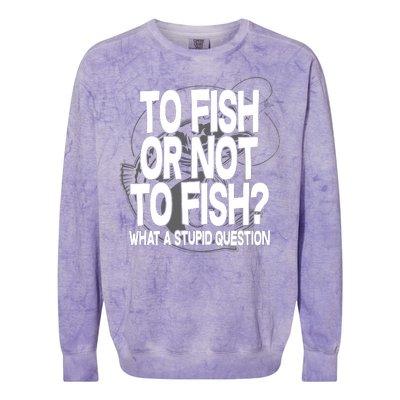 To Fish or Not To Fish? What A Stupid Question Colorblast Crewneck Sweatshirt