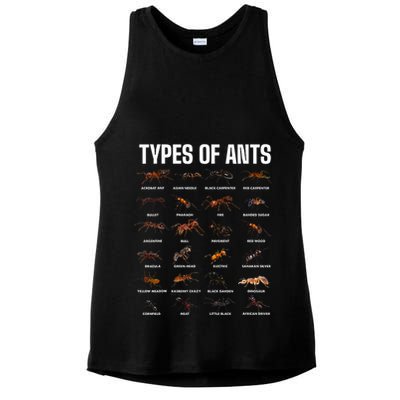 Types Of Ants For Ant Keeper Lovers Ladies PosiCharge Tri-Blend Wicking Tank