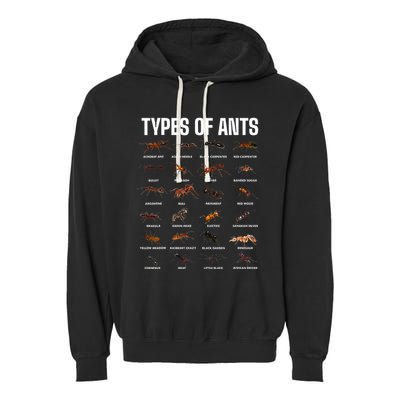 Types Of Ants For Ant Keeper Lovers Garment-Dyed Fleece Hoodie