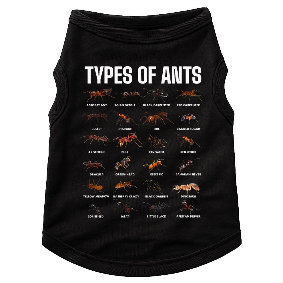 Types Of Ants For Ant Keeper Lovers Doggie Tank