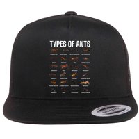 Types Of Ants For Ant Keeper Lovers Flatbill Hat