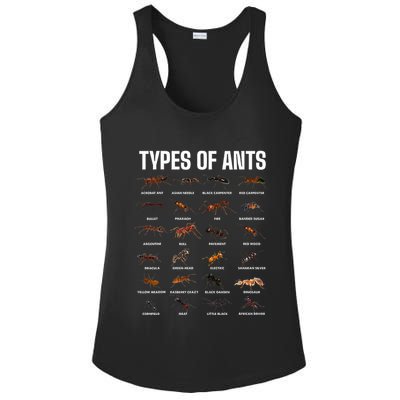 Types Of Ants For Ant Keeper Lovers Ladies PosiCharge Competitor Racerback Tank