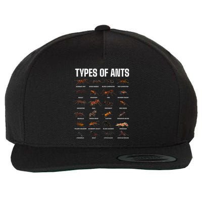 Types Of Ants For Ant Keeper Lovers Wool Snapback Cap