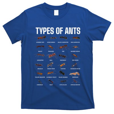 Types Of Ants For Ant Keeper Lovers T-Shirt