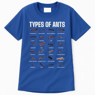 Types Of Ants For Ant Keeper Lovers Tall T-Shirt