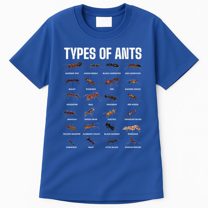 Types Of Ants For Ant Keeper Lovers Tall T-Shirt