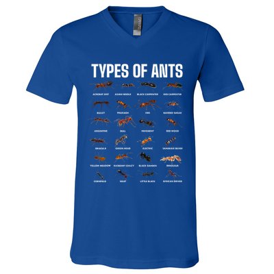 Types Of Ants For Ant Keeper Lovers V-Neck T-Shirt
