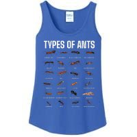 Types Of Ants For Ant Keeper Lovers Ladies Essential Tank