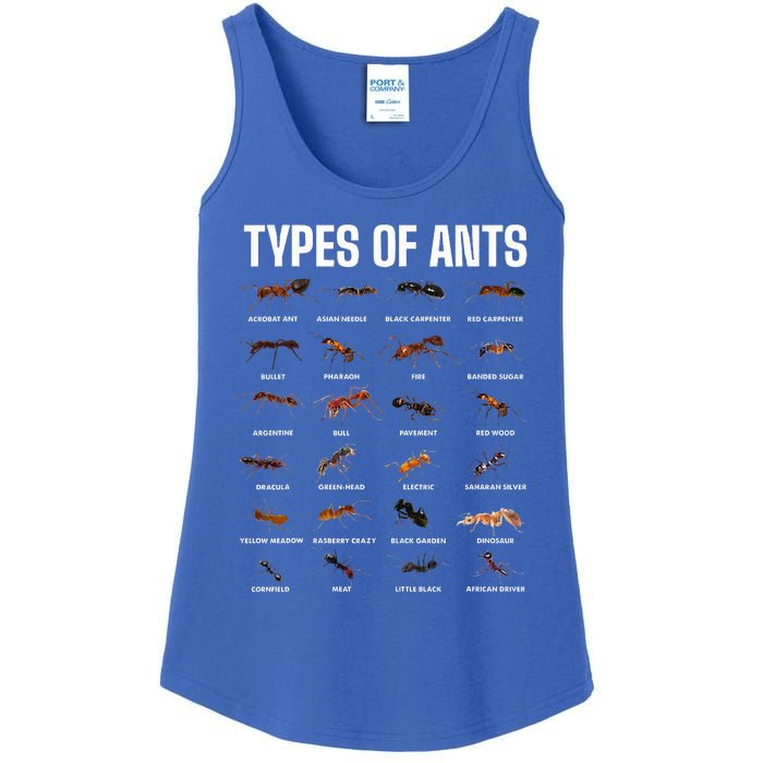 Types Of Ants For Ant Keeper Lovers Ladies Essential Tank