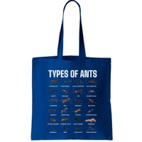 Types Of Ants For Ant Keeper Lovers Bag