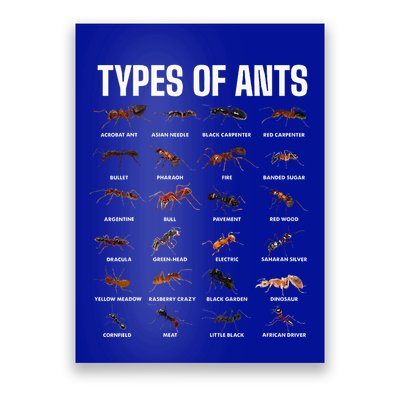 Types Of Ants For Ant Keeper Lovers Poster
