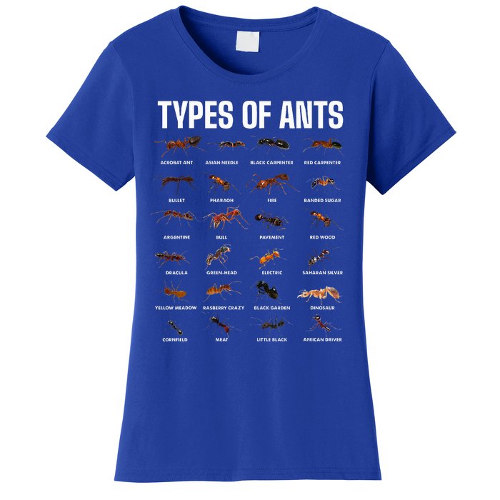 Types Of Ants For Ant Keeper Lovers Women's T-Shirt