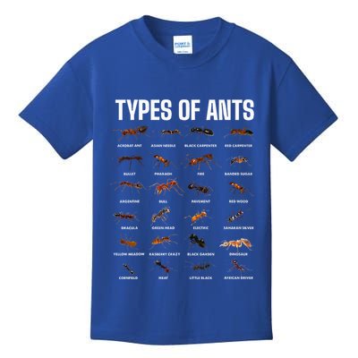 Types Of Ants For Ant Keeper Lovers Kids T-Shirt