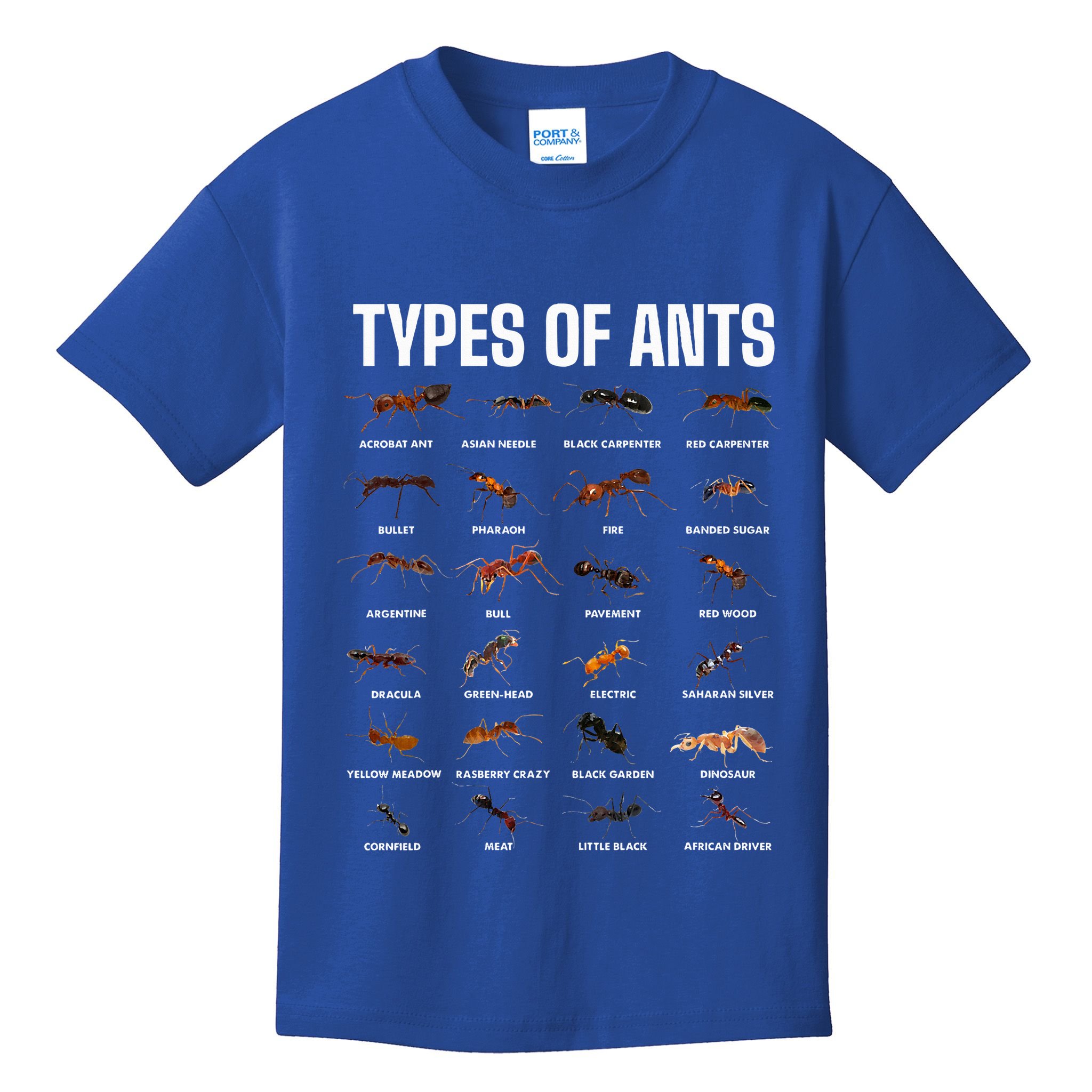 Types Of Ants For Ant Keeper Lovers Kids T-Shirt