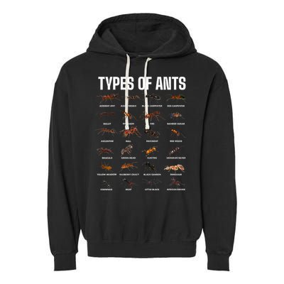 Types Of Ants For Ant Keeper Lovers Garment-Dyed Fleece Hoodie
