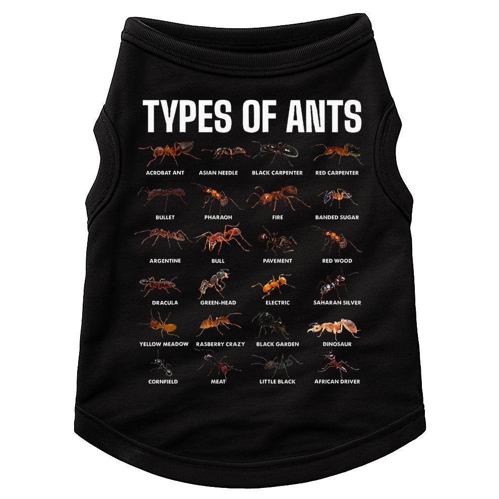Types Of Ants For Ant Keeper Lovers Doggie Tank