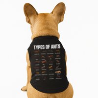 Types Of Ants For Ant Keeper Lovers Doggie Tank
